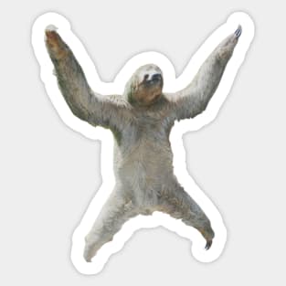 Sloth life Sticker